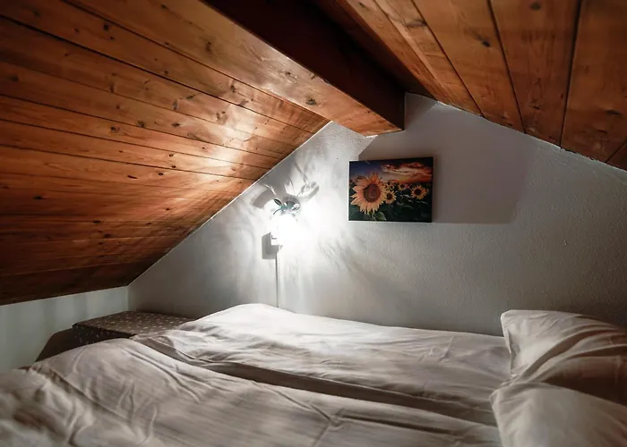 Casa Edera By Quokka 360 - Romantic Wooden House Solduno